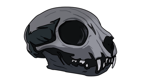 Graycat Concepts LLC